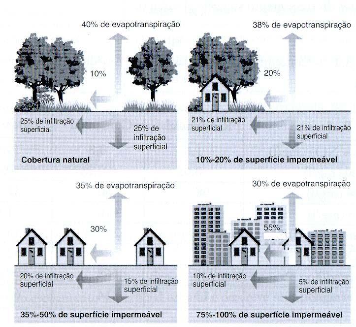 06. Observe a figura: Estágio 1 Estágio 2 superficial superficial Estágio 3 Estágio 4 Superficial superficial Fonte: ARAÚJO, G.H.S. et.al. Gestão Ambiental de Áreas Degradadas.