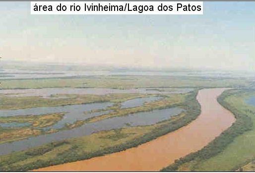 ocorrência das cheias do rio Paraná ocorrem geralmente junto ou muito próximo da cheia do rio Ivinheima (dezembro a março).