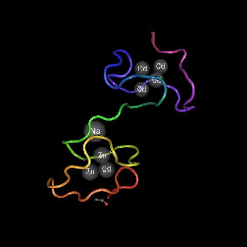 LIGAÇÃO A PROTEÍNAS PLASMÁTICAS Albumina(ácidos fracos), β-globulinas(bases fracas); Ligação rápida e reversível; Metalotioneína