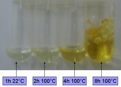 processo de cura, um experimento foi realizado adicionando-se endurecedor, na proporção 5:1, polietileno glicol (10% m/m) e N,N-dimetilbenzilamina (0,5% m/m) a 100g de resina epóxi.