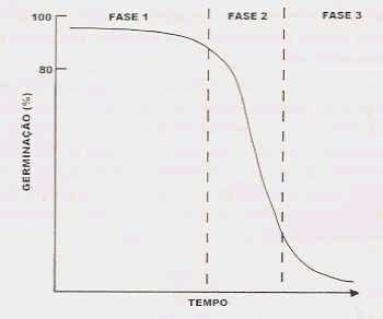 Objetivos básicos : 1º. Avaliar ou detectar diferenças significativas na qualidade Fisilogica de lotes com germinação semelhante. Fig. 1 Curva de perda da viabilidade da semente (Powell, 1986).