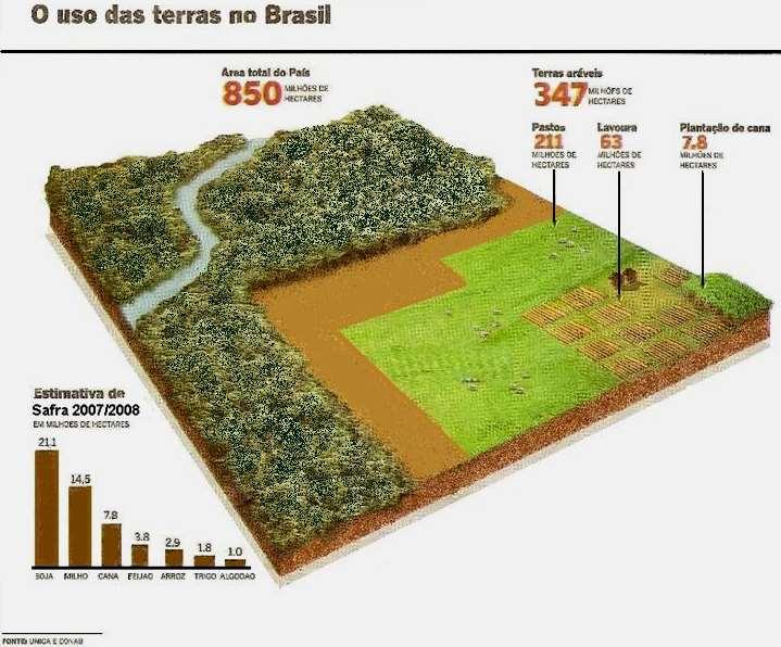 Panorama brasileiro da ocupação de