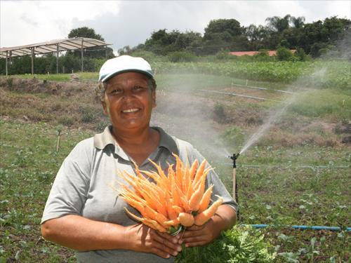 PESQUISA PRINCIPAIS RESULTADOS RENDA (%)* Melhoria Para Beneficiário/Comunidade Renda Familiar Produção Agrícola ou