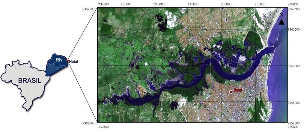 estudos já realizados identificam uma forte influência hidrodinâmica nos aspectos estudados, apontando, assim, para a necessidade do conhecimento da circulação hidrodinâmica da área, bem como dos