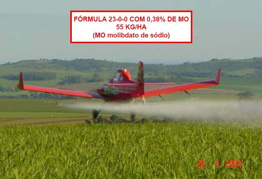 Fórmula 23-00-00 + 0,38% Mo