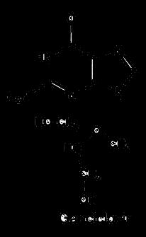 Ganciclovir Análogo de guanosina acíclico Alvo: DNA polimerase viral Atua na terminação da cadeia através de fosforilação a GCV trifosfato e incorporação do GCV