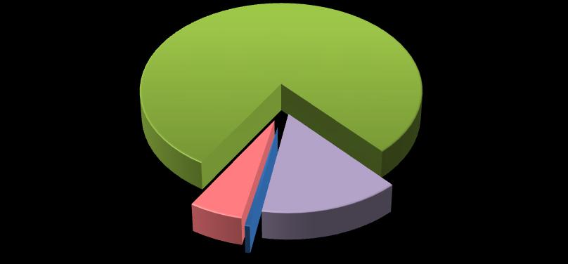 Idade 79%