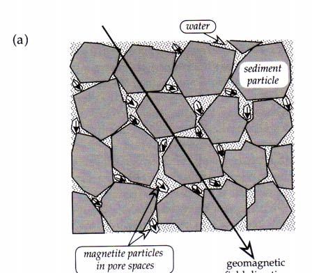 oxidações por intemperismo, os quais acontecem normalmente na superfície do grão ou ao longo de fissuras ou fraturas (e.g., formação de maghemita). Figura 5.11.