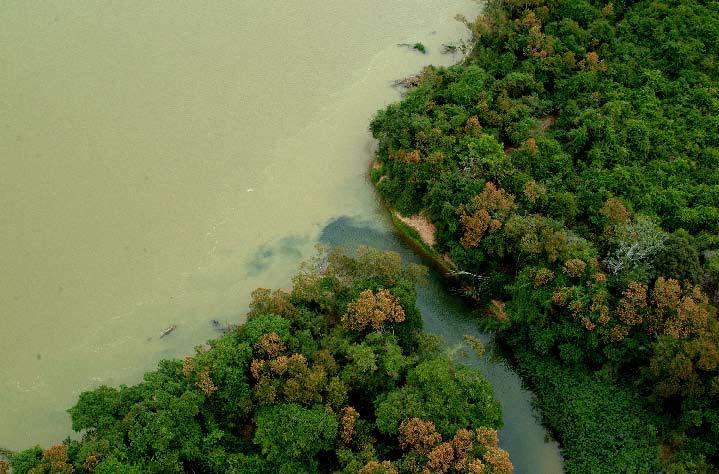 ria. O refúgio abriga ainda grande parte das lagoas marginais, cachoeiras, o pântano e a foz do rio Pandeiros, ambientes críticos para a manutenção da ictiofauna do rio São Francisco.