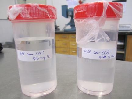 De modo a realizar a solução padrão referente aos iões cloretos, foi utilizado um sal de cloreto de potássio (KCl).