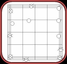 Câmara de Neubauer -Existem 3 linhas ao redor de cada quadrante -Excluir as cells que