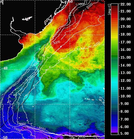 C insitu 2 3 4 (0,2830 2,753R3 M + 1,457R3 M + 0,659R3 M 1,403R3 ) M = 10,0 (1) 443 490 onde R é a reflectância de sensoriamento remoto, R3 M = log10 ( R550 > R550 ), ou seja, o logaritmo máximo