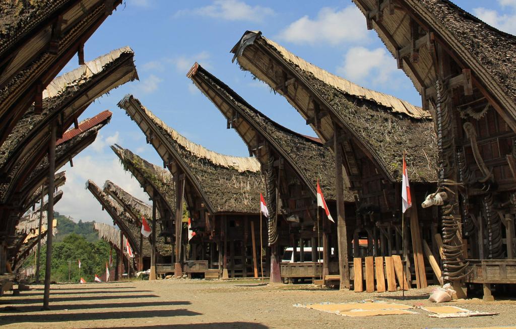 (B A) 14º DIA (21 JUN) TANA TORAJA Mais um dia para explorar a região de Toraja, aproveitando a esplêndida vista de Batutumonga, com seus cumes e vales de arroz, e caminhando para