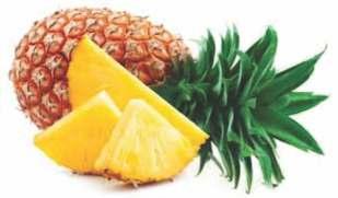 ABACAXI ou ANANÁS Ananas comosus TOSSE COM CATARRO - Amorne a água e coloque em uma xícara. Acrescente em seguida 2 colheres de suco de abacaxi e 1 colher de mel de abelha.