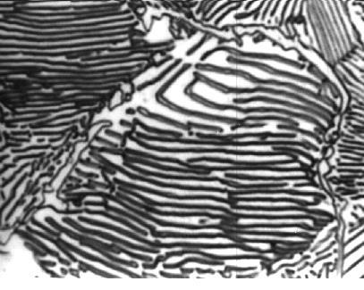 Grão de Perlita Fe 3 C - Cementita (contorno de grão) Figura 5.8 - Micrografia de um aço hipereutetóide (0,95 % C).