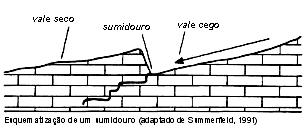 ASPECTOS PARTICULARES DA