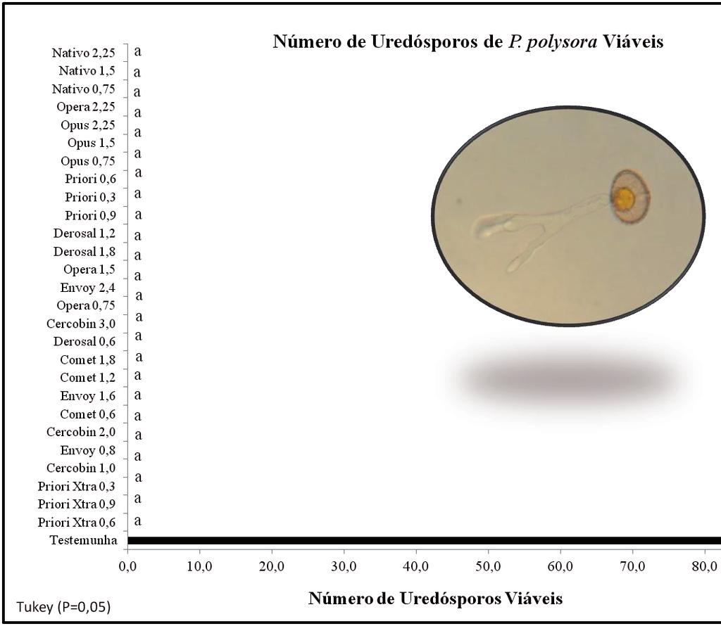 20 Efeito Protetor de Fungicidas no Controle da Ferrugem-Polissora (Puccinia polysora) Figura 8.