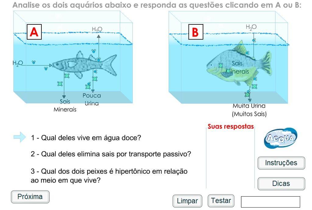 Simulação II Osmorregulação Responda cada uma das 3 questões proposta selecionando em uma das duas representações de aquário que aparecem (A ou B).