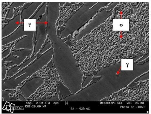 Micrografia MEV de aço