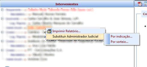 Resultado: O Administrador Judicial que resultar do sorteio ou da indicação, conforme opção selecionada, fica associado ao processo.