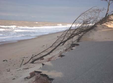 Foram encontrados indícios de escarpas ativas por ondas, edificações danificadas, praia estreita, escarpamento do póspraia, troncos de árvores expostos e dunas escarpadas,