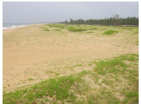 8 Barreiras arenosas costeiras entre o Cabo de São Tomé e a foz do Paraíba do Sul, RJ - Estabelecimento de Tipologias de Orla Marítima De acordo com Moraes (2007), as possibilidades de