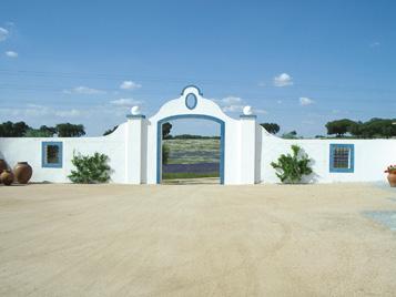 As castas plantadas são: Trincadeira, Aragonez, Syrah, Alicante Bouschet, Cabernet Sauvignon e Touriga Nacional.