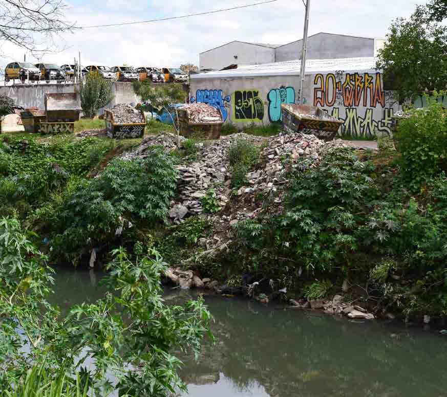 IRREGULARES, que desembocam diretamente no rio e pelas galerias de águas pluviais, que é o principal problema que afeta a