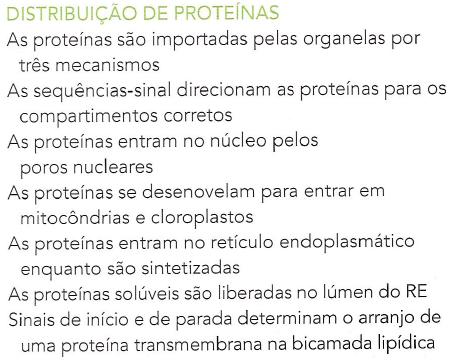 fosfolipídios Vesísulas Complexo de Golgi Libera e recaptura Ca2+ citosólico em