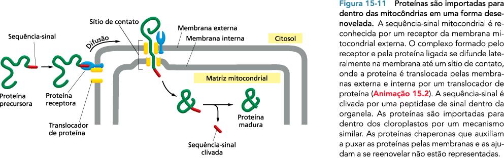 Tráfego