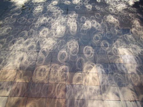 Efeito de um eclipse anular sob a sombra de uma árvore : os espaços entre as