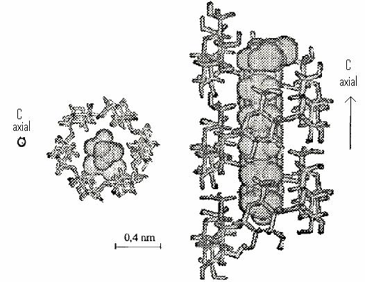 7 Figura 3 - Modelo molecular representando o complexo amilose - ácido graxo, mostrando a inclusão da parte alifática do ácido graxo dentro da cavidade hidrofóbica da hélice simples de amilose Fonte: