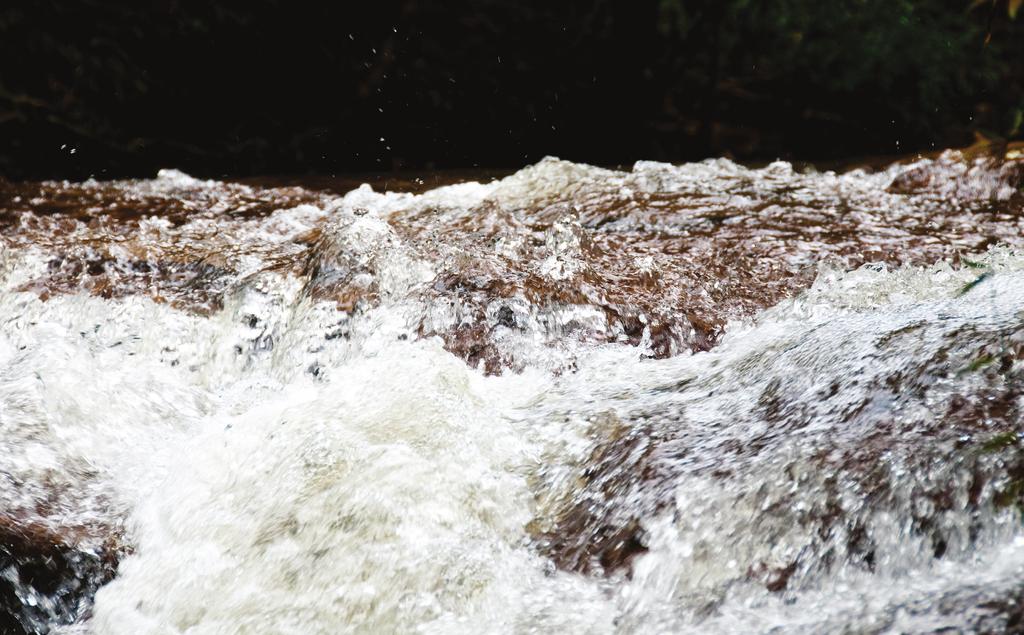 COBRANÇA PELO USO DOS RECURSOS HÍDRICOS 206 Cachoeira de Diegues (Toledo/MG) -