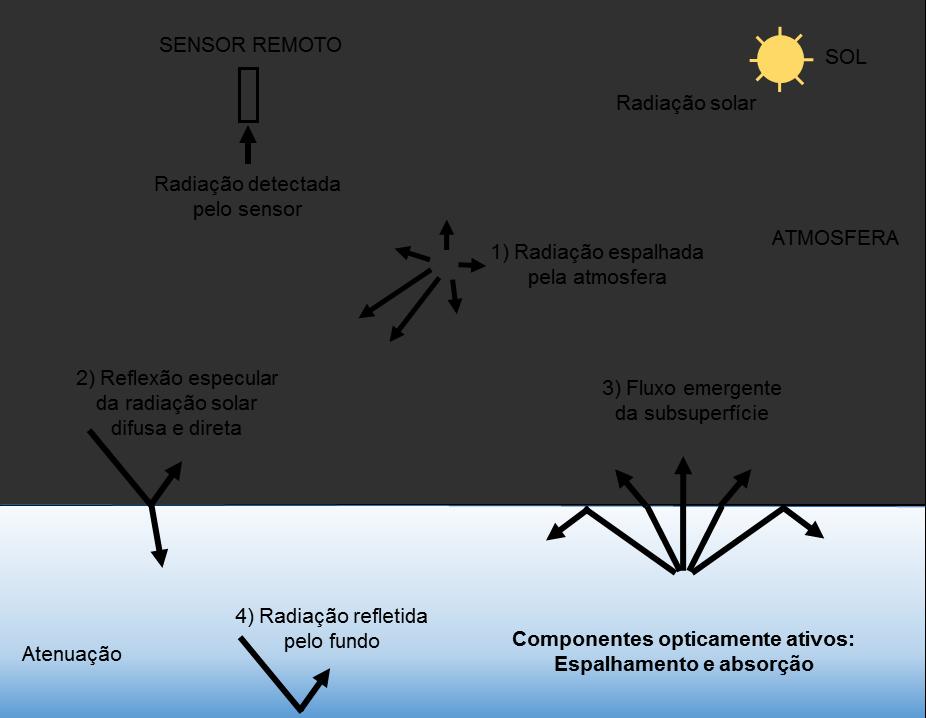 detectado por um sensor remoto, e as interações da radiação com os componentes presentes na água. Posteriormente, são elucidadas algumas limitações dos sensores orbitais para este tipo de aplicações.