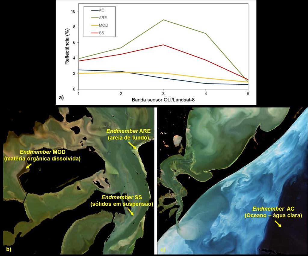 Figura 3. 3: a) Curvas espectrais dos endmembers identificados. Imagem em composição RGB cor verdadeira (432) do estuário da Lagoa dos Patos.