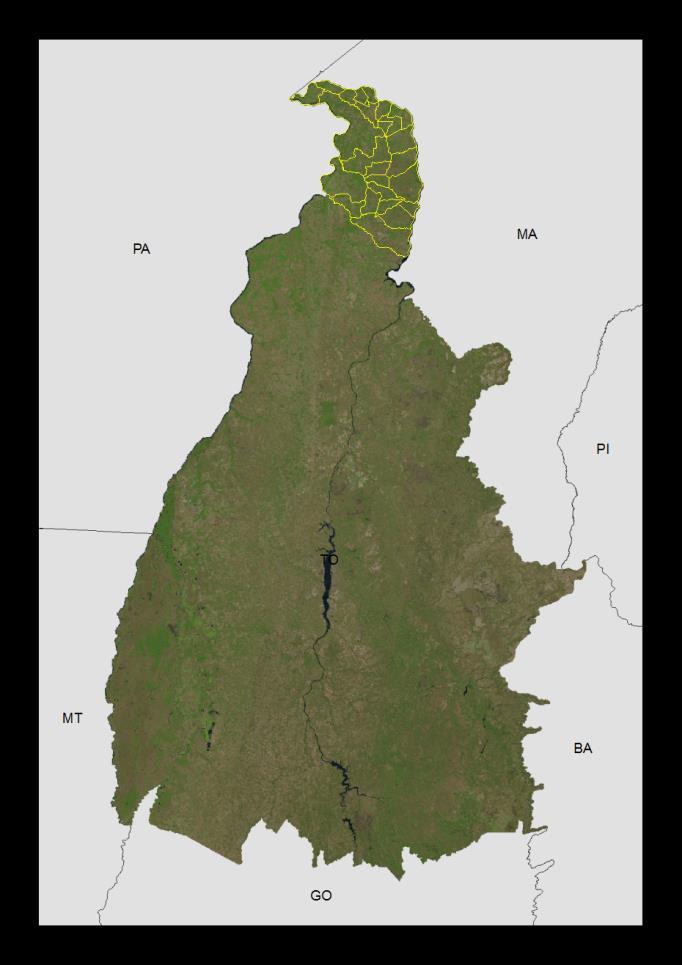 MICRORREGIÃO DO BICO DO PAPAGAIO Nº MUNICÍPIO 1 Aguiarnópolis 2 Ananás 3 Angico 4 Araguatins 5 Augustinópolis 6 Axixá do