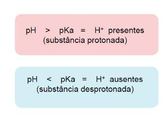 Ponto Isoelétrico (PI) Relação pka e ph com prótons H+ do meio Para calcular o pi, basta somar os pks e dividi-los por 2 (fazer uma média