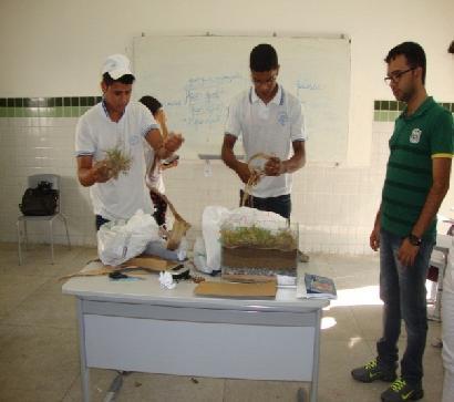 pesquisa a partir dos principais solos Brasileiros, ao final do projeto a turma envolvida materializou um perfil de solo, colocando em evidencia as abordagem anteriormente utilizadas, juntamente com