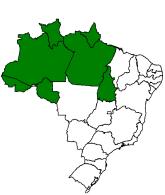 Rede Federal Distribuição das matrículas entre as Regiões Geográficas Região Geográfica População de 18 a 24 anos Matrícula presencial na rede federal de educação superior 2001 2014 2015 Variação (%)