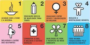 As metas do Milênio no contexto brasileiro De acordo com o 5 Relatório Nacional de
