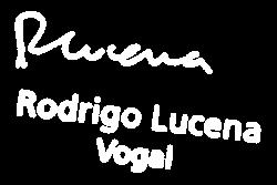 calendarizada as actividades a desenvolver durante os anos de 2009 e 2010 para efeitos da implementação dos requisitos da presente Norma Regulamentar.