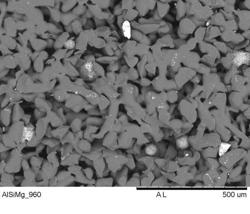 A partir das micrografias com menor magnitude, foram medidos os raios das pastilhas usando o software image J.