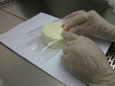2.3.1. Montagem do experimento com o queijo Os queijos uniformes com 200 g cada foram fabricados e fornecidos por um feirante local.