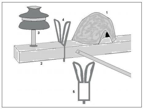 Ilustração exemplificando a instalação de um ninho de joão-de-barro (1) sobre a cruzeta