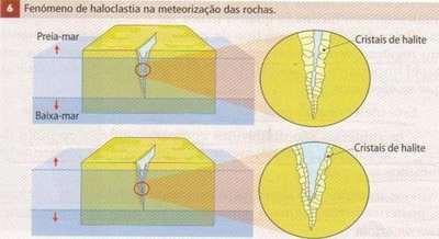 (sais ou gelo) nos