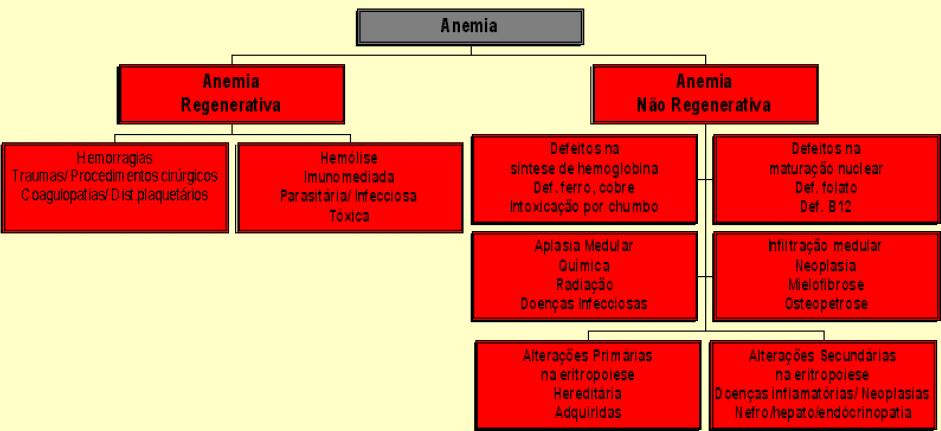 15 2.4 Classificação das Anemias As anemias podem ser classificadas de acordo com o processo envolvido (hemorragia aguda ou crônica, hemólise ou diminuição na produção eritrocitária), com o grau de