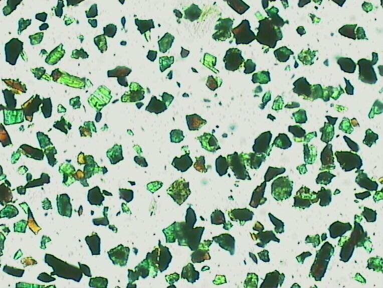 Luz Transmitida Tipos de Preparados Lamínula Bálsamo do Canadá Resina Lâmina Fatia de Rocha 0,03 mm Lâmina de uma fatia de rocha ou mineral