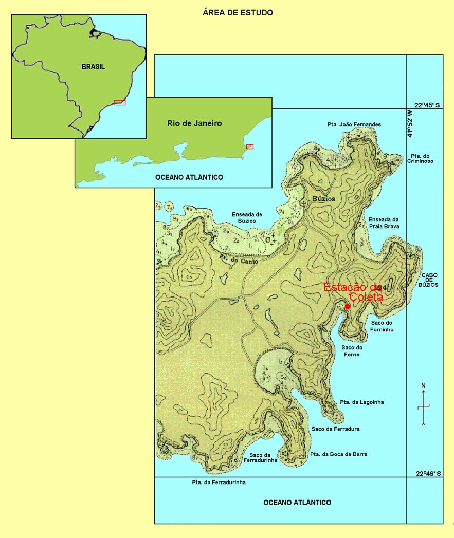 Figura 5: Localização geográfica da área