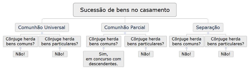 Curso de Direito - Parte Especial - Livro IV - Do Direito de Família - Prof. Ovídio Mendes - Fundação Santo André 3 / 8 meação.