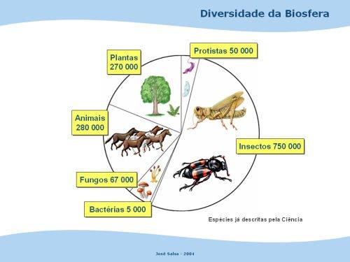 BIOSFERA: